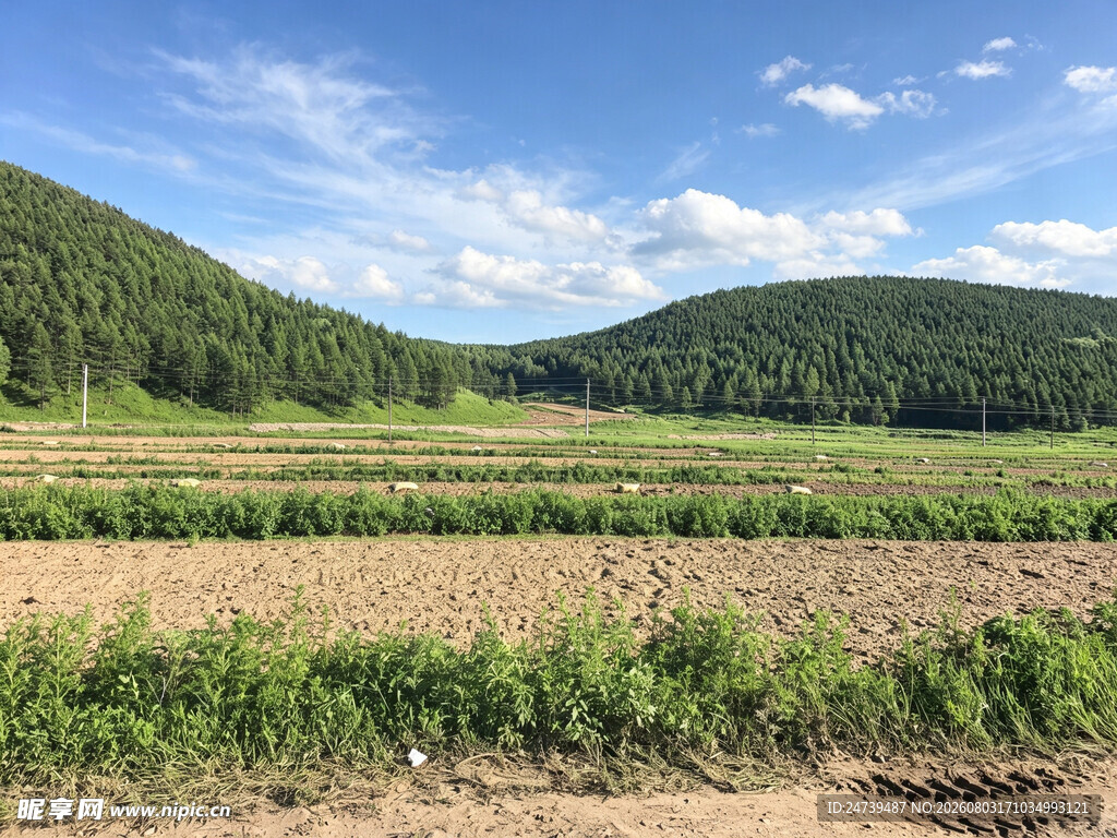 田园风光中的开阔田野