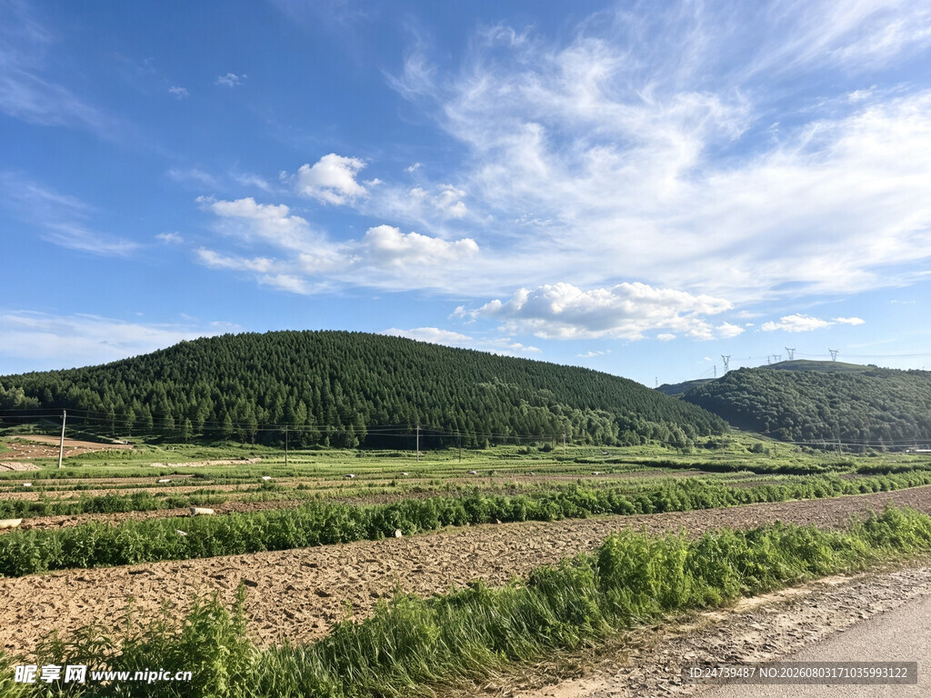 乡村田野风光美景