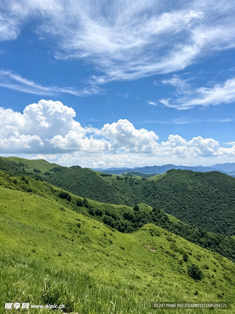 蔚县草原