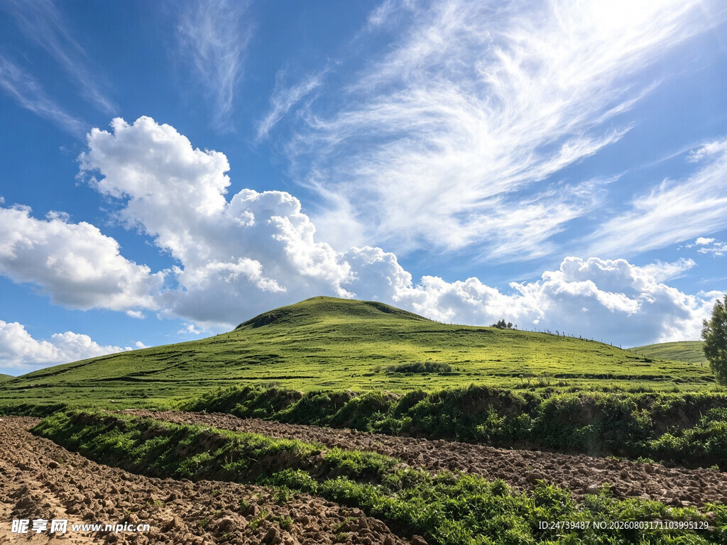 草原蓝天美景