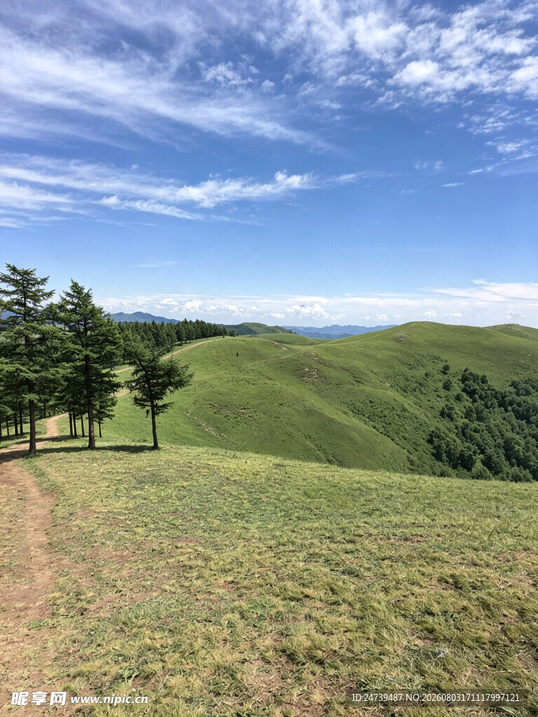 山间步道旁的葱郁绿植