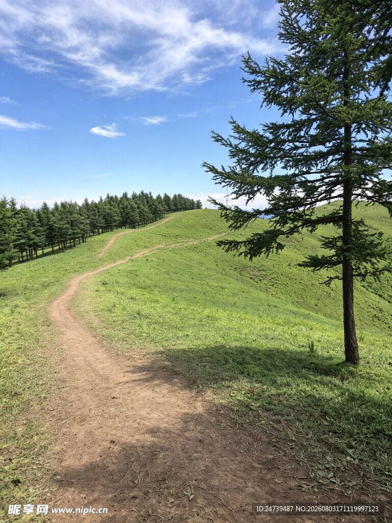山间小径绿意盎然的风景