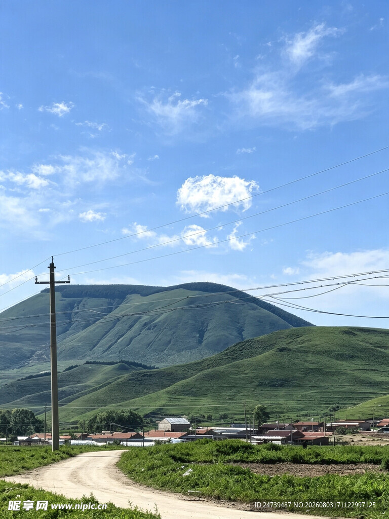 山间公路旁的绿色景致
