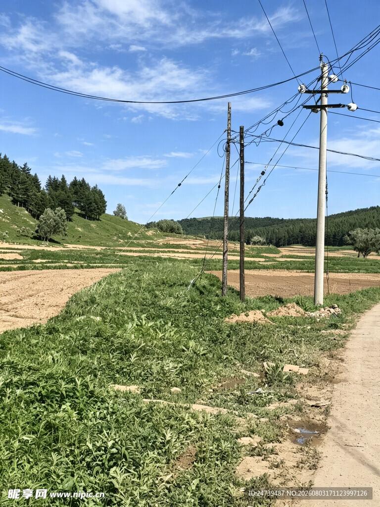 田野中的高压输电塔