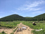 山间田野中的泥泞小路