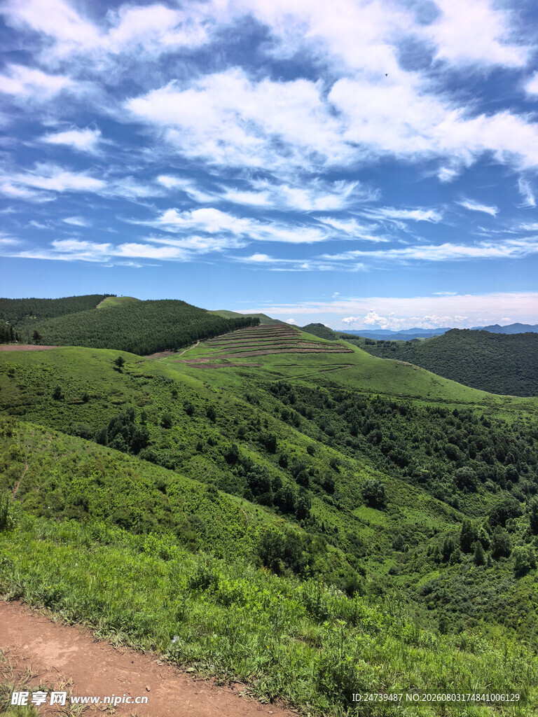 山间绿野风景