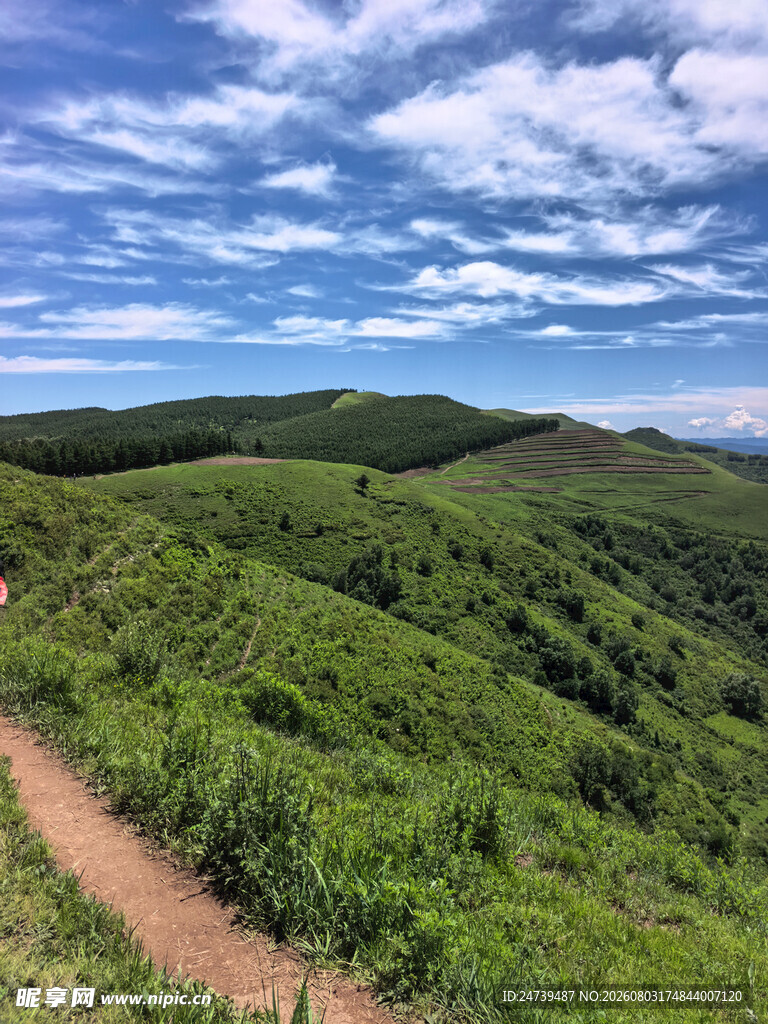 山间小径绿意盎然的美景