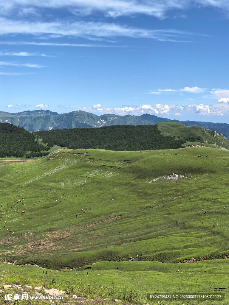 广袤绿野远山蓝天美景
