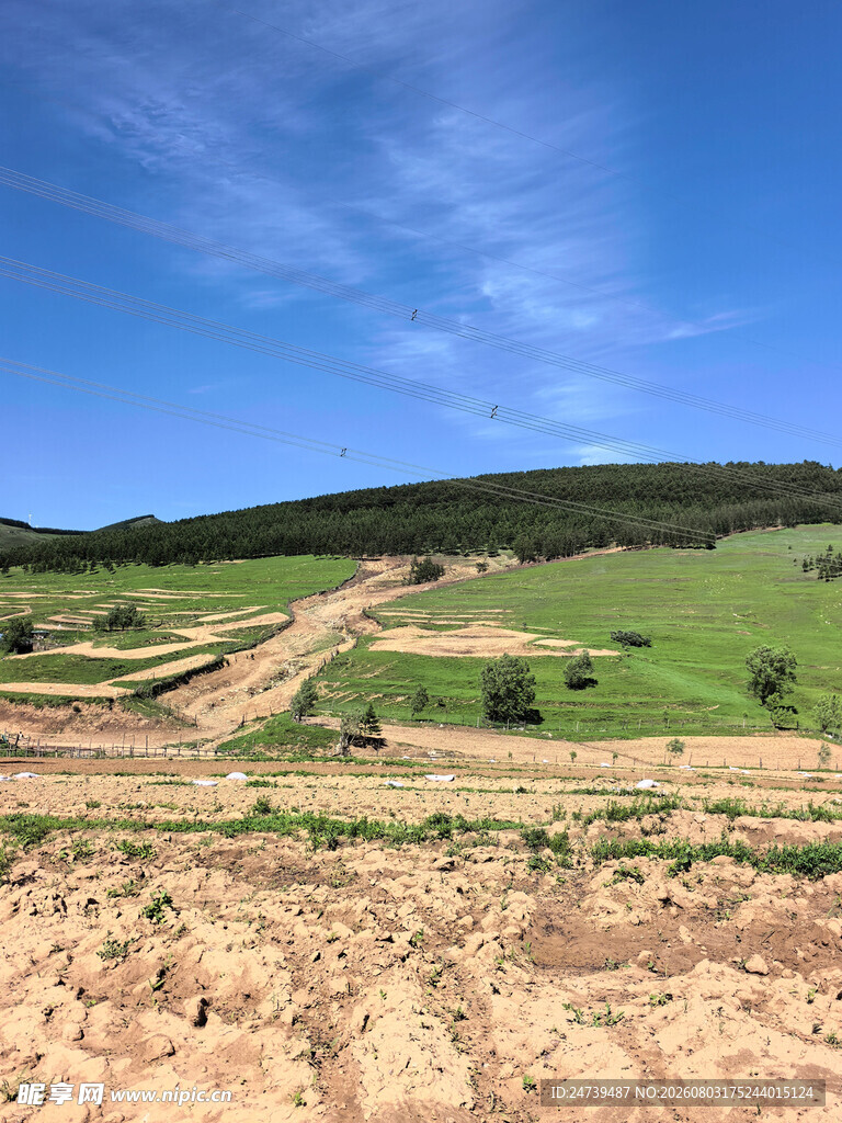 开阔田野风光