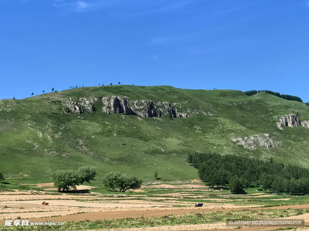 绿意盎然的山丘与田野
