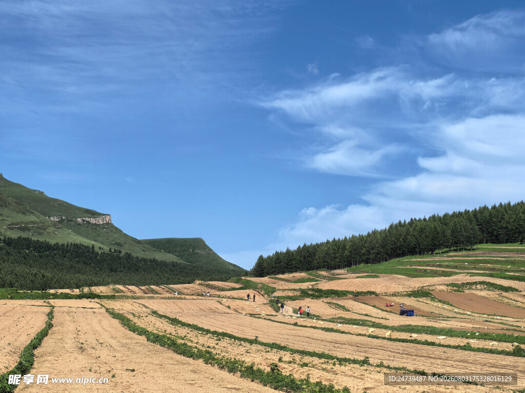 田园风光广袤田野与青山