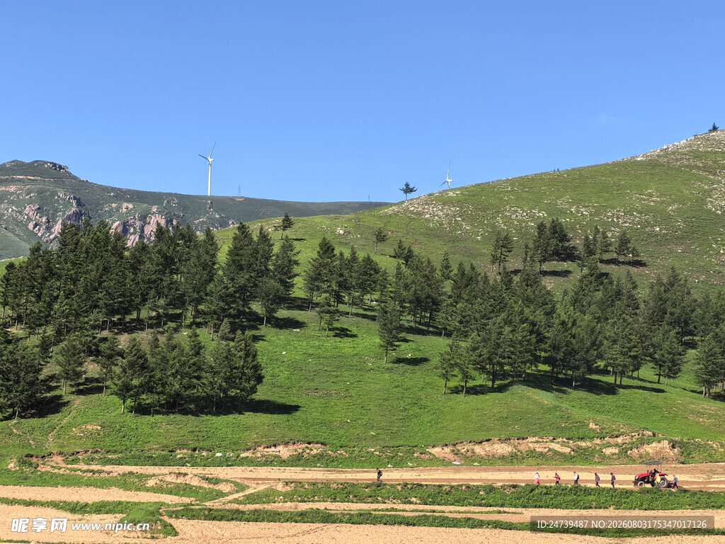青山绿树间的开阔美景