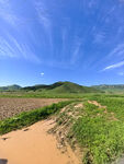 乡间土路绿野蓝天美景