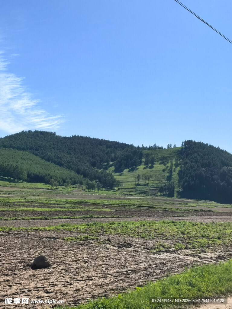 田园风光中的广袤农田