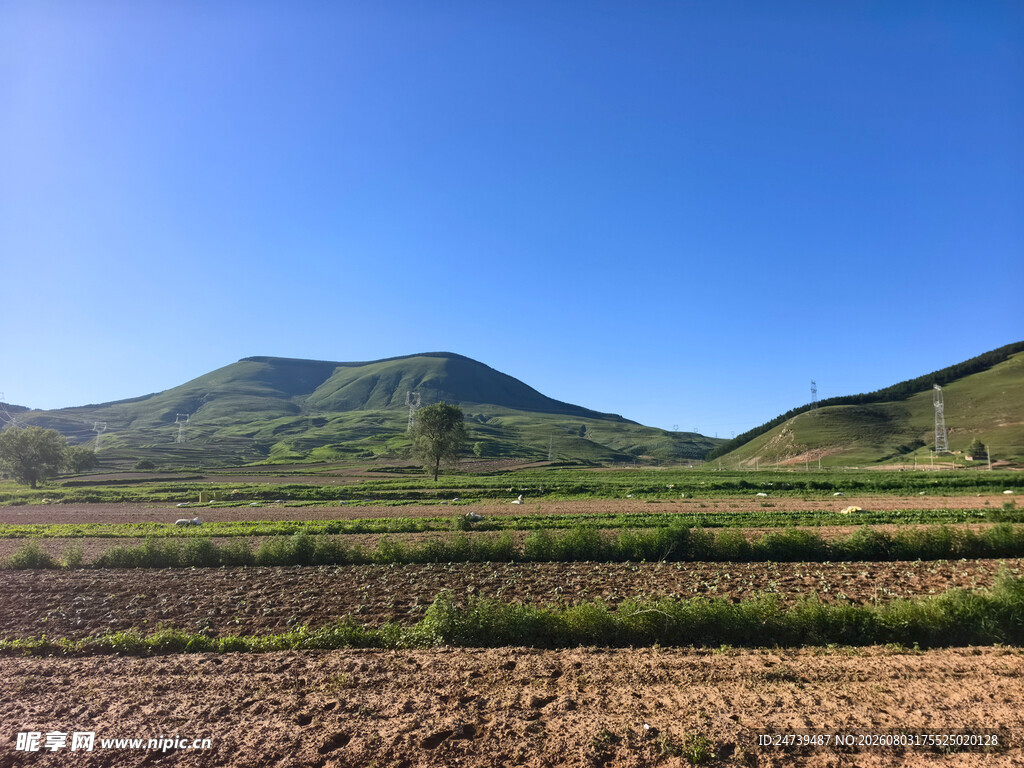田野山峦间的清新风光