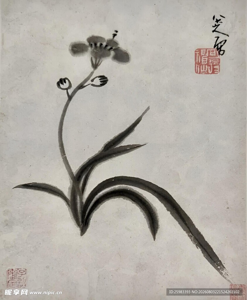 水墨兰花图