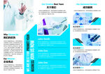 三折页公司简介图片