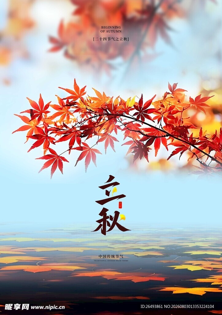 立秋海报