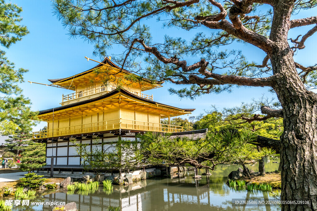日本金阁寺美景