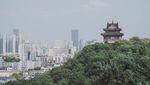 城市中的古典楼阁景观