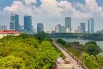城市湖畔绿意盎然风景图