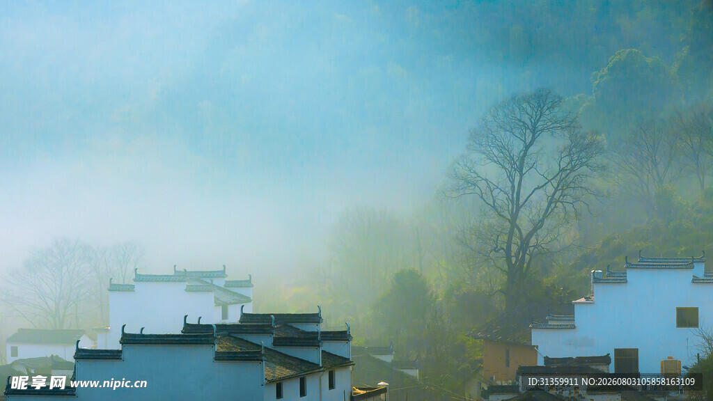 雾中乡村景致
