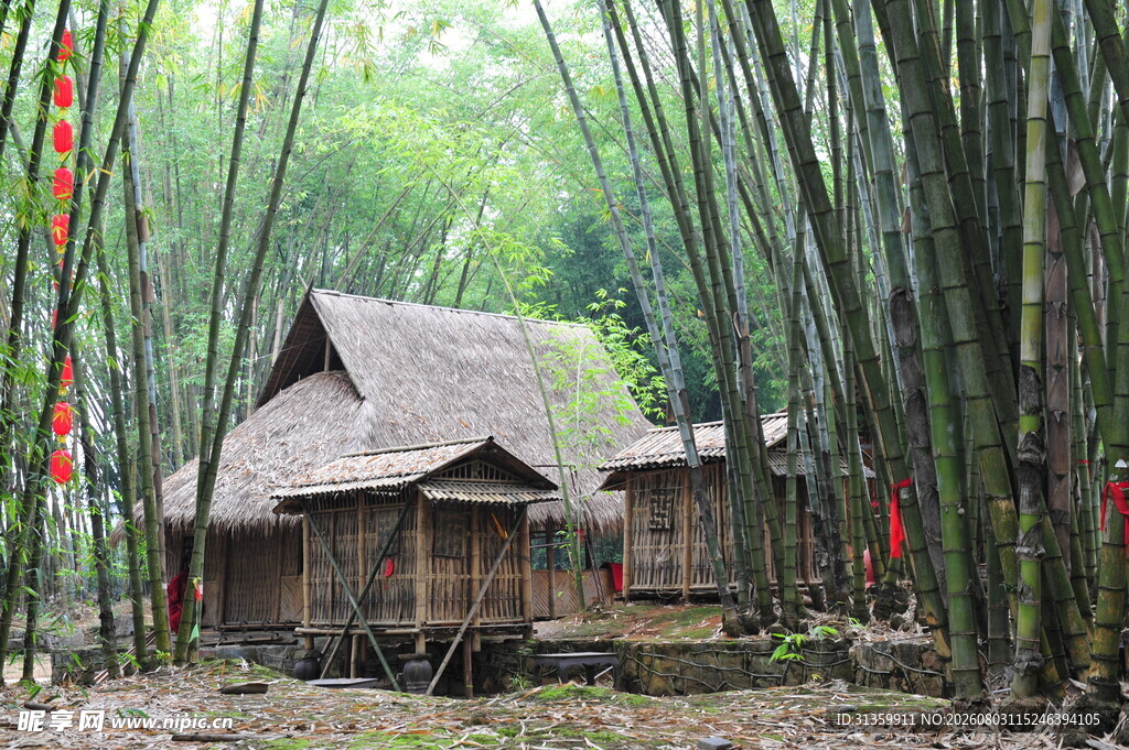 竹林中的古朴小屋