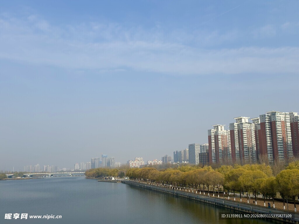 河畔高楼林立的城市风光