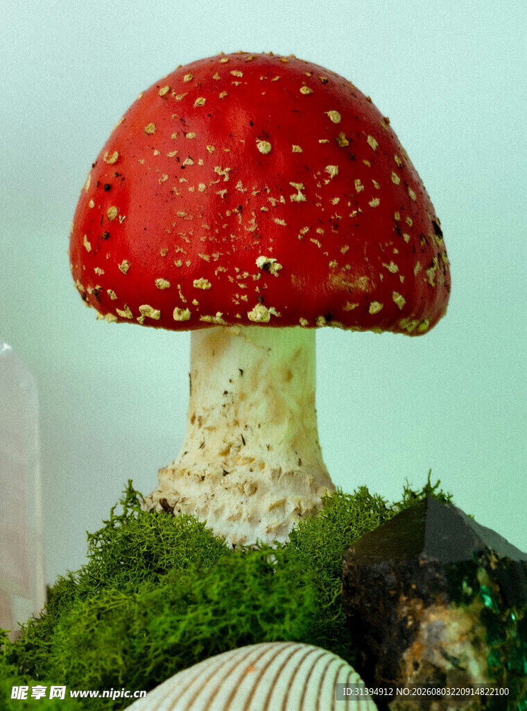 红色斑点蘑菇与绿植组合