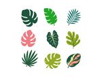 热带植物素材