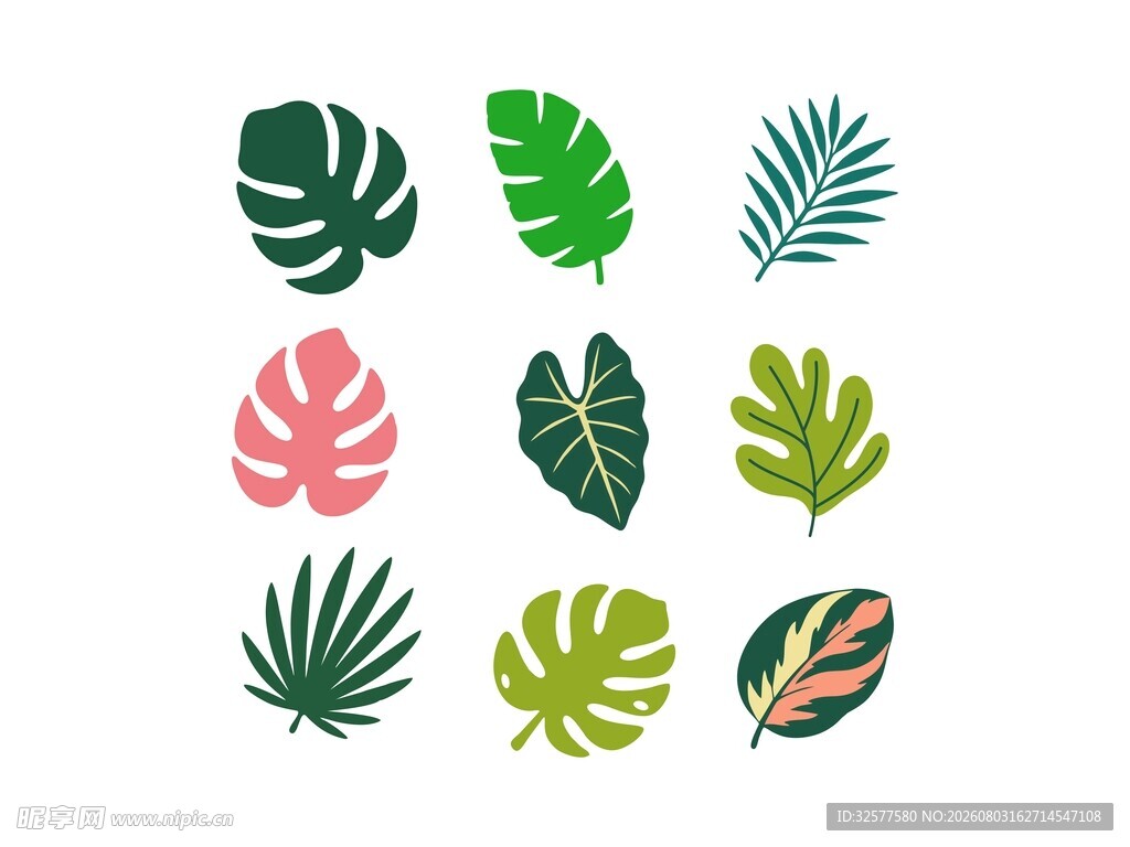 热带植物素材