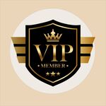 VIP 徽章设计
