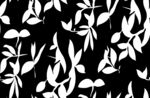 黑白植物叶片花纹图案