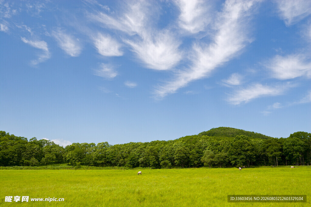 绿野蓝天山林美景
