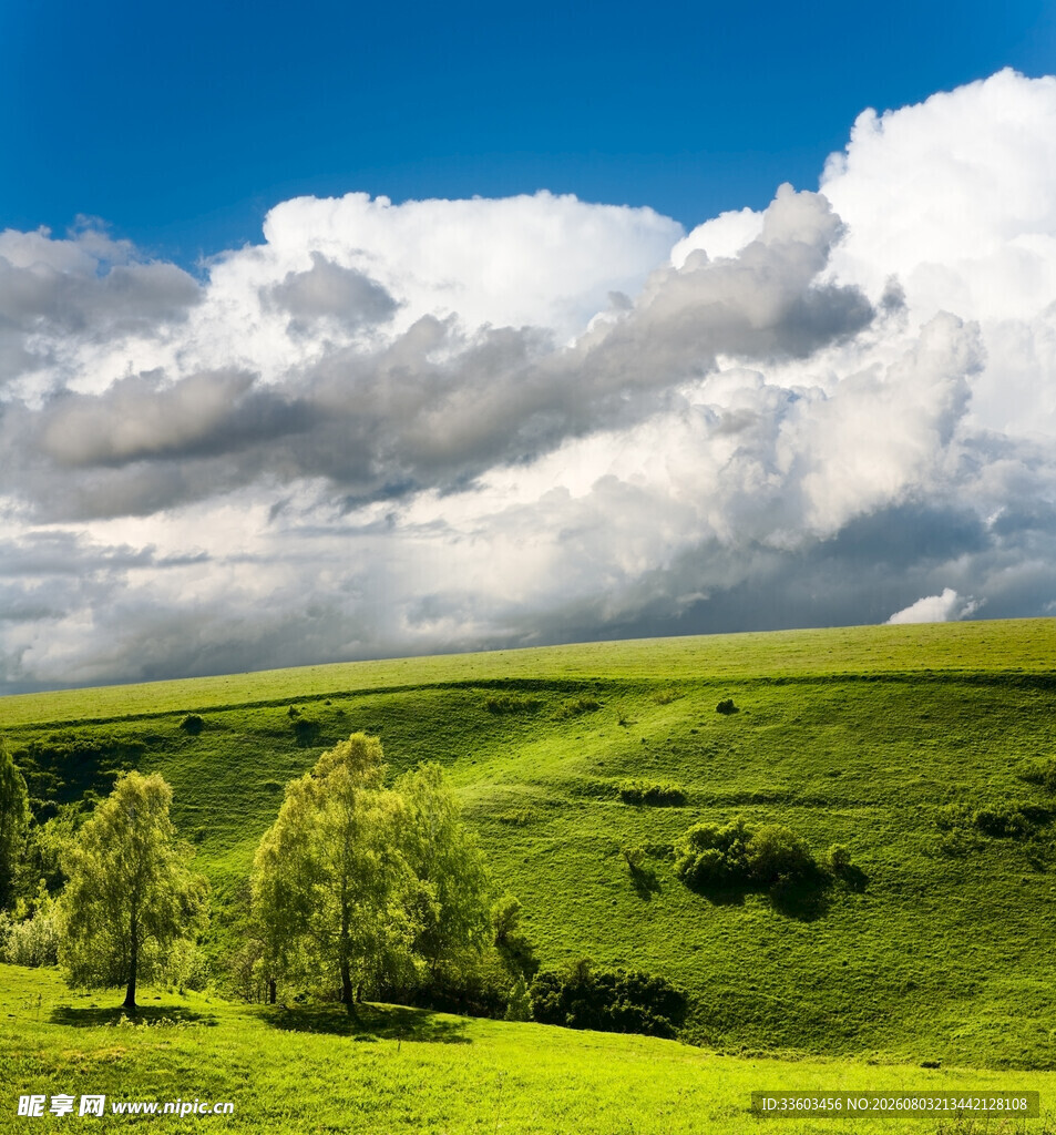 草原风光绿意盎然的美景