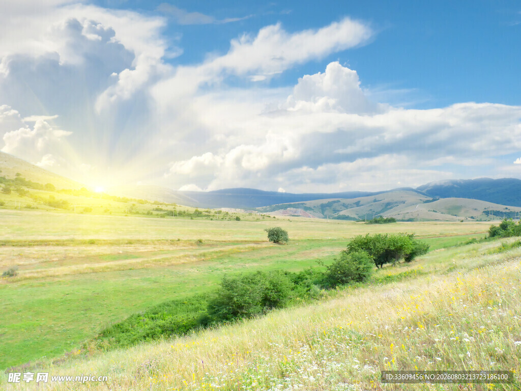 草原晨光美景