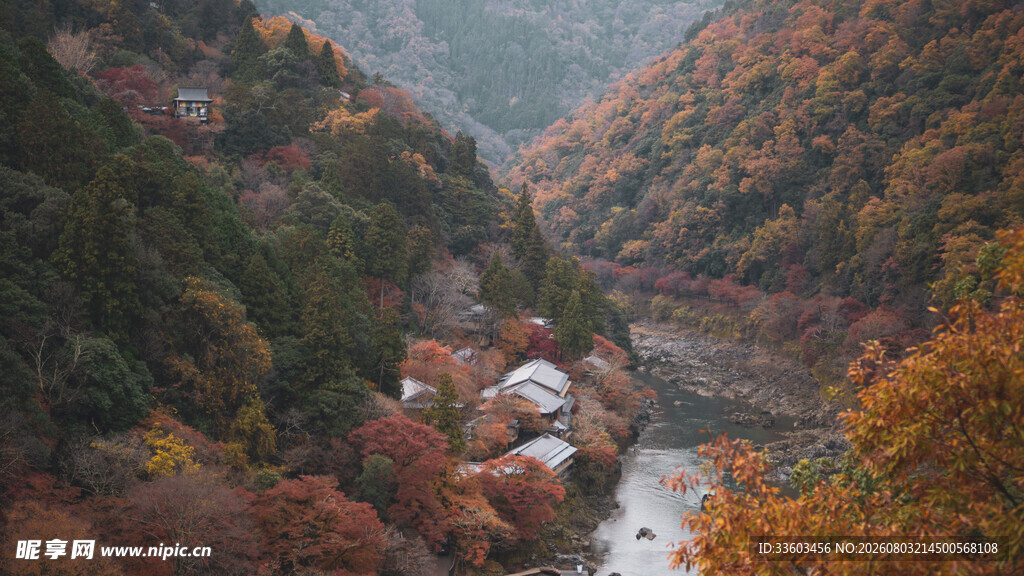 秋日山谷中的多彩溪流