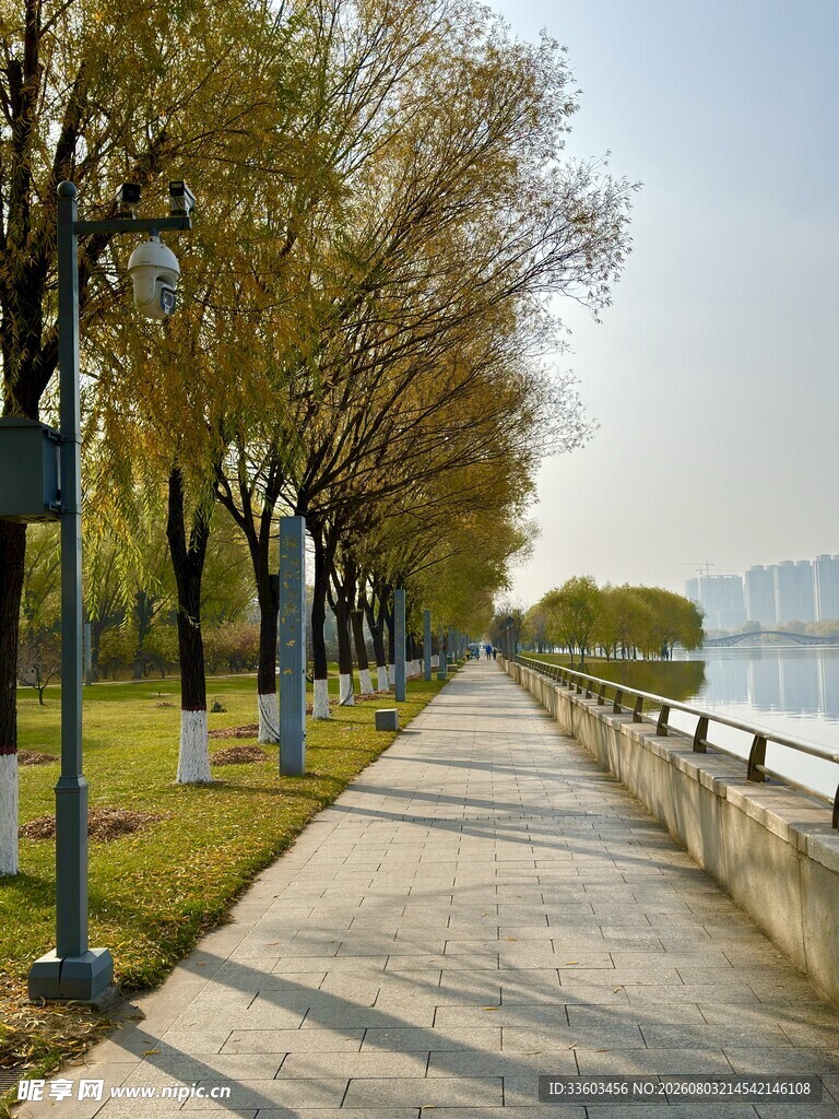 湖畔林荫步道秋日美景
