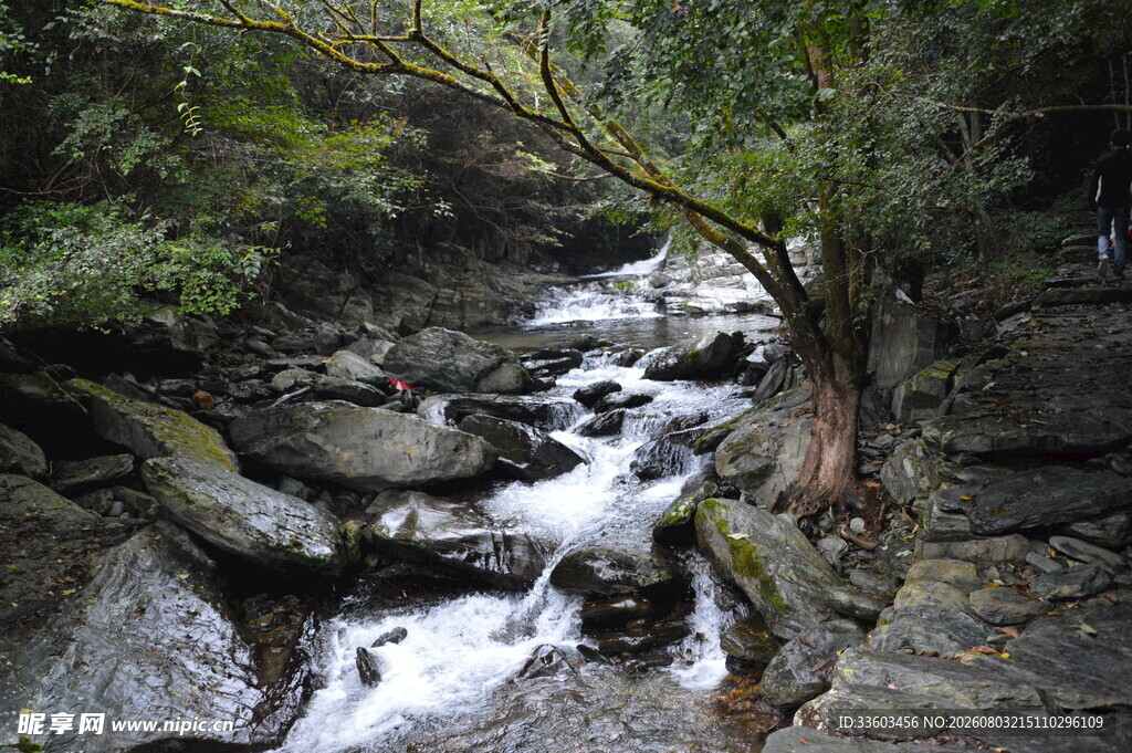 山间溪流潺潺自然美景