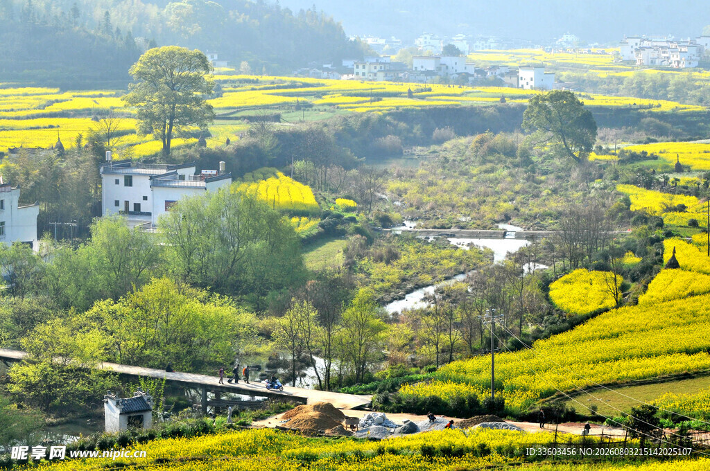 春日田园风光美景如画
