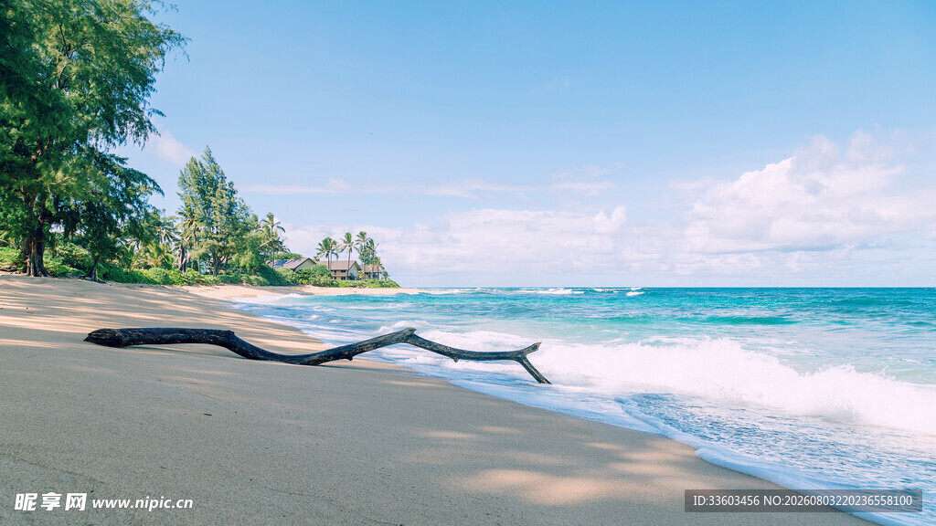 美丽海滩海浪与岸边景致