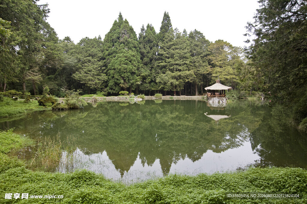 静谧湖畔园林景致