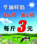 华加鲜奶每斤仅3元