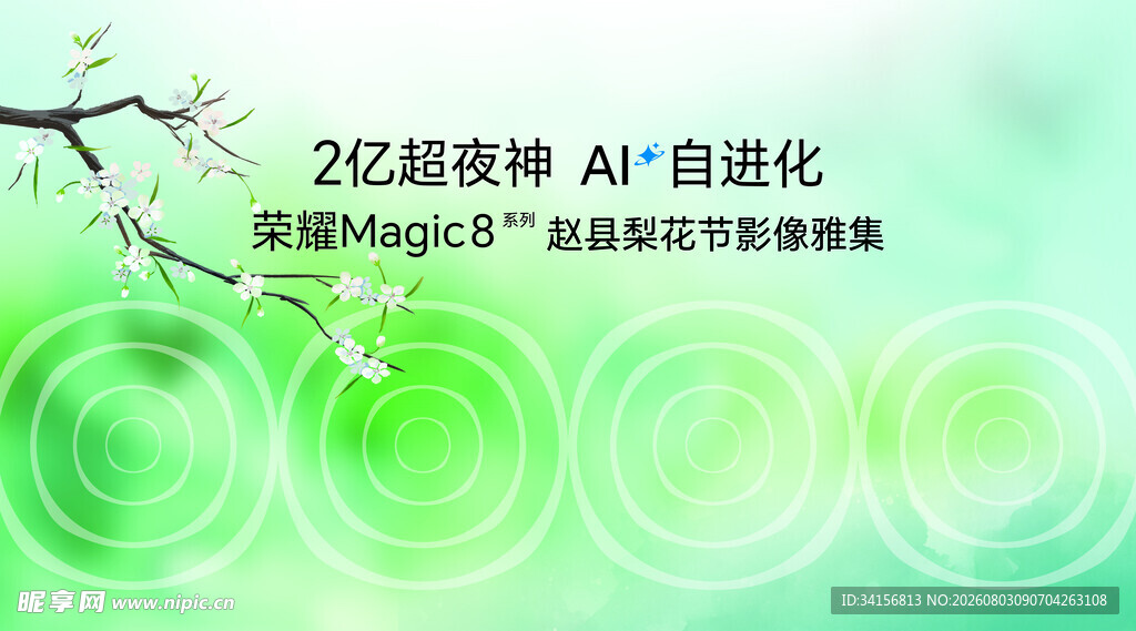 梨花节影像雅集