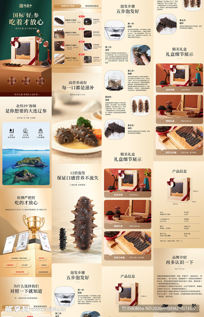 淡干海参详情