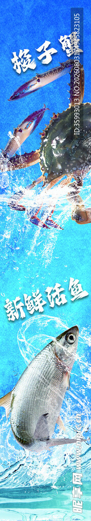 海洋中的可爱海豚与飞鸟