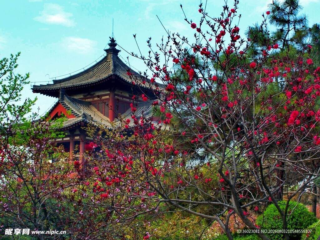 古亭映繁花