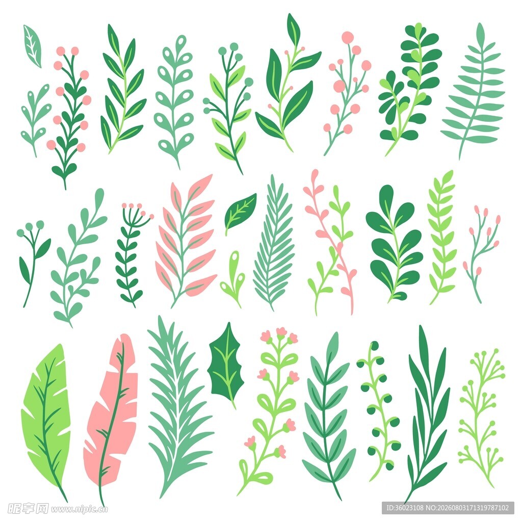 清新植物素材