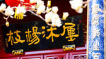 天津大悲禅院玉兰花