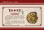益母草